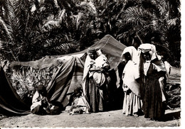 COLLECTION SAHARIENNE FAMILLE NOMADE DANS L'OASIS - Sahara Occidental