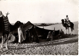 COLLECTION SAHARIENNE DEVANT LA HAIMOH OU TENTE NOMADE - Westelijke Sahara