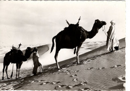 COLLECTION SAHARIENNE SUR LA PISTE DESERTIQUE - Western Sahara