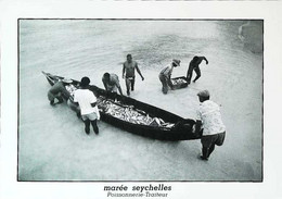 ►  Seychelles Pêche Poissonerie Traiteur Paris - Seychellen