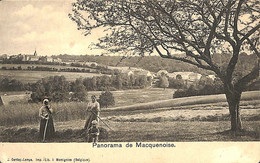 Macquenoise - Panorama - Momignies