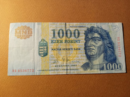 HUNGARY 1000 FORINT 2003 P 189b USADO USED - Hongrie