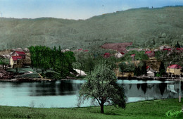 Saint-Sulpice-Lauriere (Hte-Vienne) -  Le Bois Des Echennes - Vue Prise De La Californie  - CPA - Lauriere