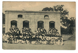 Conge Belge  Mission Des Religieuses Ursulines   Groep Kinderen - Congo Belga