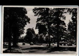 The Avenue, Southampton. De M. Brosser Mme Pale à Rolampont. Photo Véritable. 1958. - Southampton