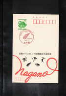 Japan 1998 Olympic Games Nagano - Bobsleigh Interesting Postcard - Hiver 1998: Nagano