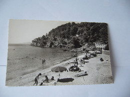 LA COTE D'AZUR  LE RAYOL 83 VAR LA PLAGE CPSM FORMAT CPA - Rayol-Canadel-sur-Mer