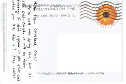 C1 : USA - Sunflower Round Shape Stamps Used On Postcard - Brieven En Documenten