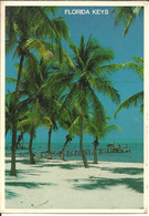 Florida Keys (USA) Palm Fringed Beaches For Swimmwers & Seaside Visitors, Spiagge Costeggiate Da Palme X Bagnanti - Key West & The Keys