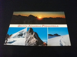 STORIA POSTALE GRUPPO ADAMELLO PRESANELLA VEDUTE SCI SCIATORI ALPINISTI RIFUGIO BIVACCO LAENG - Alpinisme