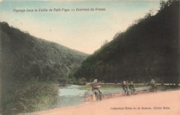 CPA - Belgique - Petit Fays - Paysage Dans La Vallée De Petit Fays - Environs De Vresse - Colorisé - Edit. Nels - Bièvre