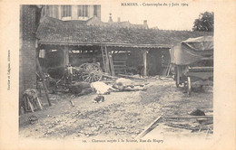 Mamers      72       Catastrophe  Juin 1904: Chevaux Noyés Rue Du Hupry     N° 10   (voir Scan) - Mamers
