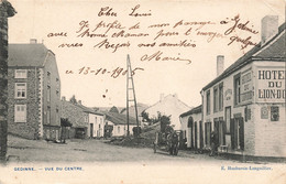 CPA - Belgique - Gedinne - Vue Du Centre - Edit.E. Haubursin Languillier - Précurseur - Oblitéré Gedinne 1905 - Gedinne