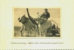 Traditional Technology-Buffaloes Help Cambodian Farmer Plough His Land - Myanmar (Burma)