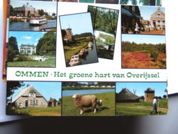 Nederland Holland Pays Bas Ommen Het Groene Hart - Ommen