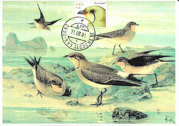 CARTE MAXIMUM-  MAXIMUM CARD- CARTOLINA MAXIMA- MAXIMUM KARTE - PORTUGAL - OISEAUX - PERDRIX DE MER -Glareola Pratincola - Rebhühner & Wachteln