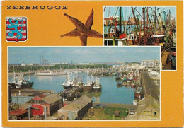 Zeebrugge   *  Groeten Uit Zeebrugge (CPM) - Zeebrugge