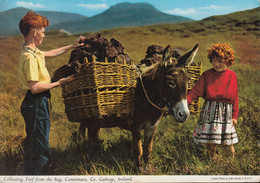 Ireland - Galway - Connemara - Children With Donkey - Nice Stamp - Galway