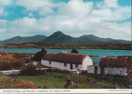 Ireland - Galway - Thatched Cottage - Nice Stamp - Cork