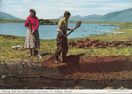 Ireland - Oughterard - Cutting Turf - Working Couple - Nice Stamp 1964 - Galway