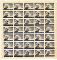 INDIA 1964 JAWAHAR LAL NEHRU 15p FULL SHEET Of 35 STAMS As Per Scan MNH - Other & Unclassified