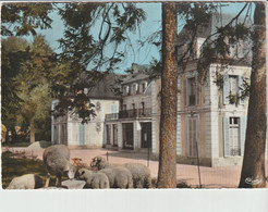 Delcampe - Ris Orangis (91 - Essonne)  Fondation Dranem  - Moutons - Ris Orangis