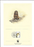 N°3 1988 ALGERIE WWF 1ER JOUR ALGER MACAQUE AVEC ILLUSTRATION 27 CM * 18 CM - Argelia (1962-...)