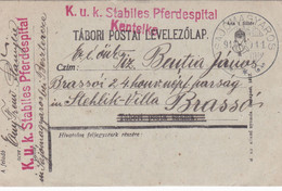 AUSTRO-HUNGARY PC CENSORED PFERDESPITAL,WW1 1918, ROMANIA - Storia Postale Prima Guerra Mondiale