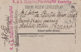 AUSTRO-HUNGARY PC CENSORED PFERDESPITAL,WW1 1918, ROMANIA - 1ste Wereldoorlog (Brieven)