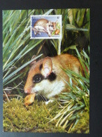Carte Maximum Card Souris Mouse Oblit. Année Européenne De L'environnement Luxembourg 1987 - Maximum Cards
