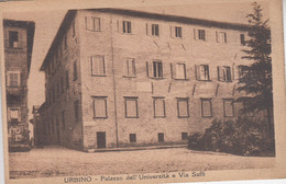 URBINO: Palazzo Dell' Universita E Via Saffi - Urbino