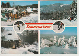 Schwarzwald-Winter, Baden-Württemberg - Hochschwarzwald