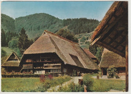 Delcampe - Gutachtal, Vogtsbauernhof, Baden-Württemberg - Gutach (Schwarzwaldbahn)