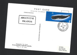 British Antarctic Territory 1978 Real Photo (B & W) Post Card Used Argentine Islands , Graham Land To England - Covers & Documents