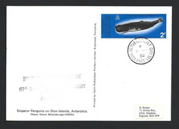 British Antarctic Territory 1978 PPC Used Rothera Point Adelaide Island To England - Lettres & Documents