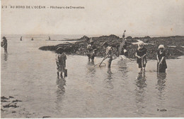 Au Bord De L'Océan . Pêcheurs De Crevettes - Pesca