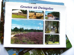 Nederland Holland Pays Bas Dwingeloo Met Fraaie Natuurlijke Omgeving - Dwingeloo