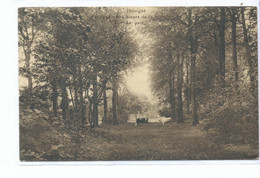 Jodoigne  Pensionnat Des Soeurs De La Providence Le Parc - Geldenaken