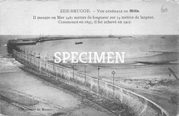 Vue Générale Du Môle - Zeebrugge - Zeebrugge