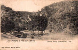 LES ENVIRONS D'ALLE SUR SEMOIS / PAYSAGE DANS LA VALLEE DU PETIT FAYS - Vresse-sur-Semois