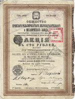 Titre De 1889 - Société  Des Aciéries, Forges Et Ateliers De Machines De Briansk - - Russia