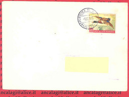 SAN MARINO 1960 - St.Post.027 - Biglietto Aperto "FAUNA AVICOLA" - Vedi Descrizione - - Covers & Documents