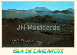 Isla De Lanzarote - Timanfaya - Camel Excursion - Camel - Animals - 2002 - Spain - Used - Lanzarote