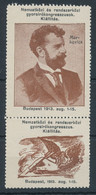 1913. International And Intermethod Stenography Congresses. Exhibition - Commemorative Sheets