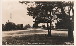 Bagshot   The Common - Surrey