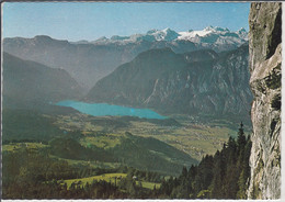 BAD GOISERN - Goiserertal Mit Dachstein Und Hallstätter See,  Panorama, Salzkammergut - Bad Goisern