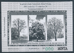2001/12-16. Kaposvár Spring Festival - Commemorative Sheet - Souvenirbögen