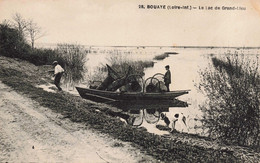 44 - BOUAYE - S08213 - Le Lac De Grand Lieu - L1 - Bouaye