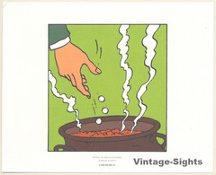 Tintin Et Les Picaros *2 (Lithography Hergé Moulinsart 2011) - Serigraphies & Lithographies