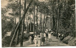 BOURNEMOUTH - PINE WALK - - Bournemouth (from 1972)